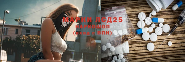 ПСИЛОЦИБИНОВЫЕ ГРИБЫ Кулебаки