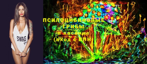 спиды Костерёво